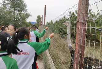 乌拉特前旗少儿活动中心