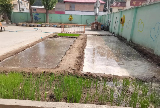 丰南市稻地镇付庄幼儿园