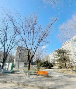 北京市昌平区天通苑南街道迪宝乐社区办园点