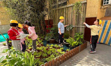 北京市昌平区东小口镇中心幼儿园