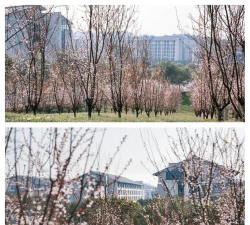 重庆服装工程职业学院中专部