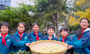 乐昌市沙坪镇茶园小学