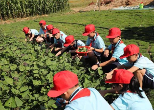 汕头市龙湖区蔡社小学