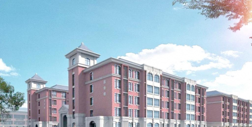 济宁金乡县鸿庠实验高级中学