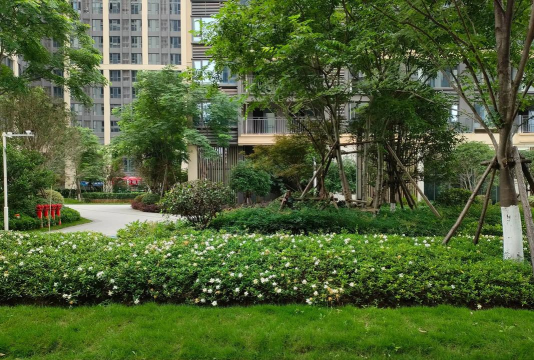 衡阳市高兴小学