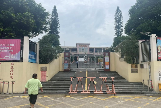 杜阮镇龙岭小学