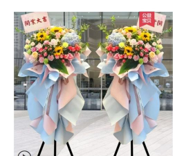 汝阳县陶营乡中心小学