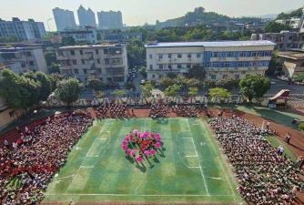 佛山市高明区荷城街道沛明实验小学