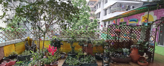 阳山县阳光幼儿园