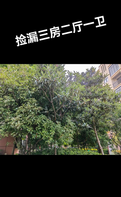 阳春市春城镇欢乐幼园