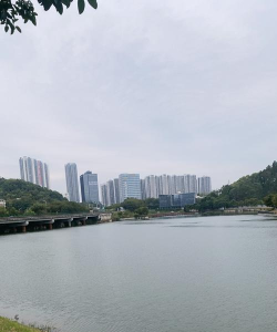 佛山市顺德区乐从荷露幼儿园