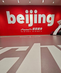 北京雷霆悟悦健身有限公司