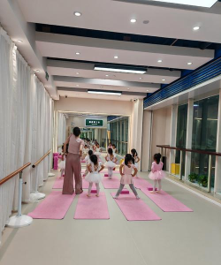 大连市普兰店区睿名文化艺术培训学校有限公司