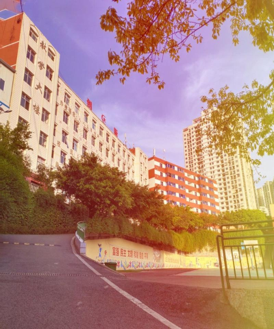 重庆市涪陵创新计算机学校