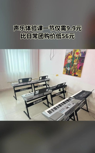 江门市蓬江区哆来咪艺术培训有限公司