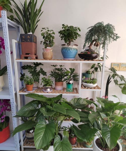 贵港市木木文化传媒有限公司