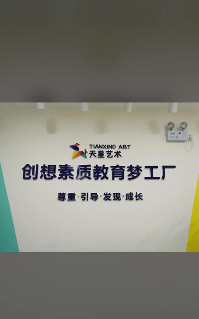 阳新县星辰艺术培训有限公司