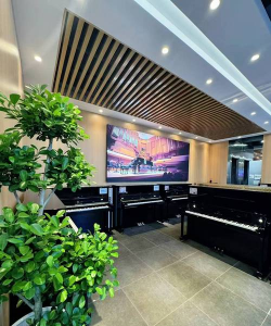 贵阳市乌当区星博雅艺术培训中心有限公司