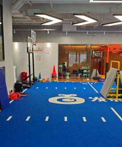 佛山市顺德区大良街道花果山体育培训有限公司