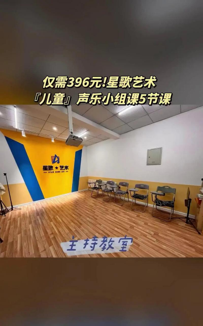 临沂市兰山区星歌艺术培训学校有限公司