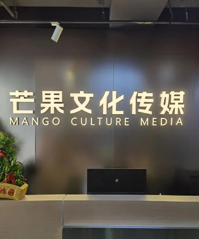 礼县乐潮文化传媒有限责任公司环境