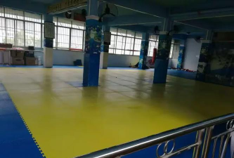 凌云县皇英跆拳道馆环境