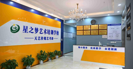 仙桃市星梦想艺术培训有限责任公司