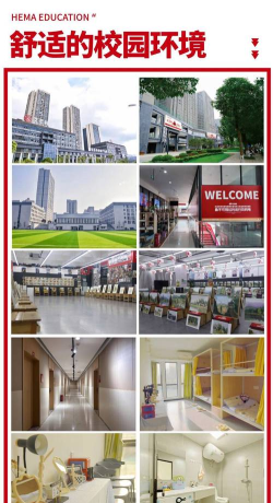 重庆高新技术产业开发区荷马培艺课外教育培训学校有限公司