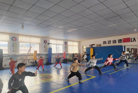 孝感市精武星功夫体育培训有限公司