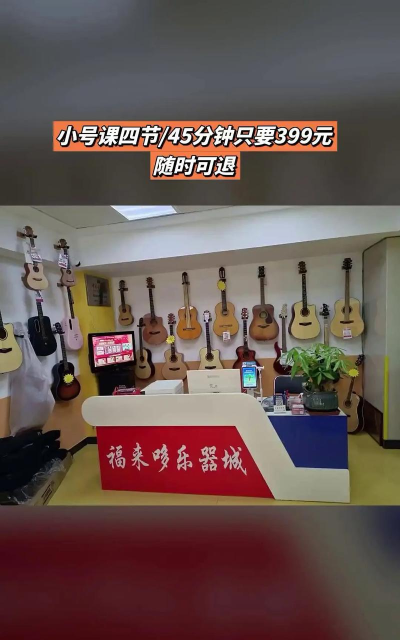 舟山市福来哆乐器培训有限公司