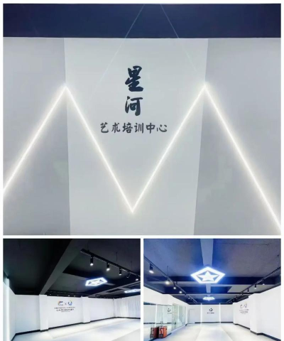 日照星星河艺术培训学校有限公司