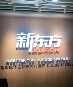 成都市锦江区新东方行远艺术培训学校有限公司