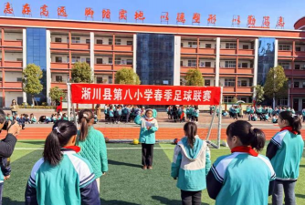 淅川县荆紫关镇第八中心小学