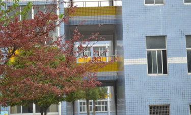 新县星海希望小学