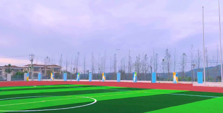 沙田卢村小学环境