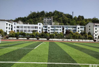 苍溪县龙山初级中学校