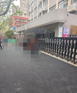 上海市普陀区沙田学校