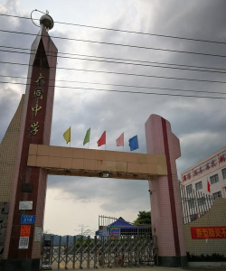 屯昌县屯城镇大同中学