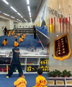 隆回县雏鹰武术培训学校有限公司