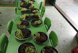 阳春市岗美镇春雨幼儿园