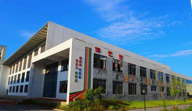 安平县安平镇原色艺体培训学校有限公司