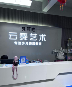 岢岚县舞灵炫艺术培训有限公司