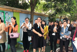 东莞市南城星文幼儿园环境