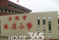 合肥市林店小学