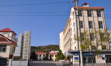 威海市初村小学
