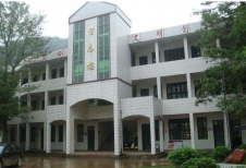 崇义县长龙镇大摆小学