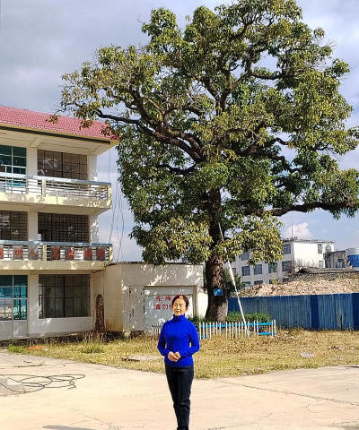 保山市施甸中学环境