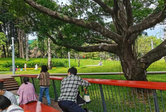 深圳蛇口工业区第三幼儿园环境