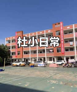 杜市中心小学