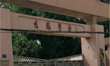 东莞市大朗鸣凤小学